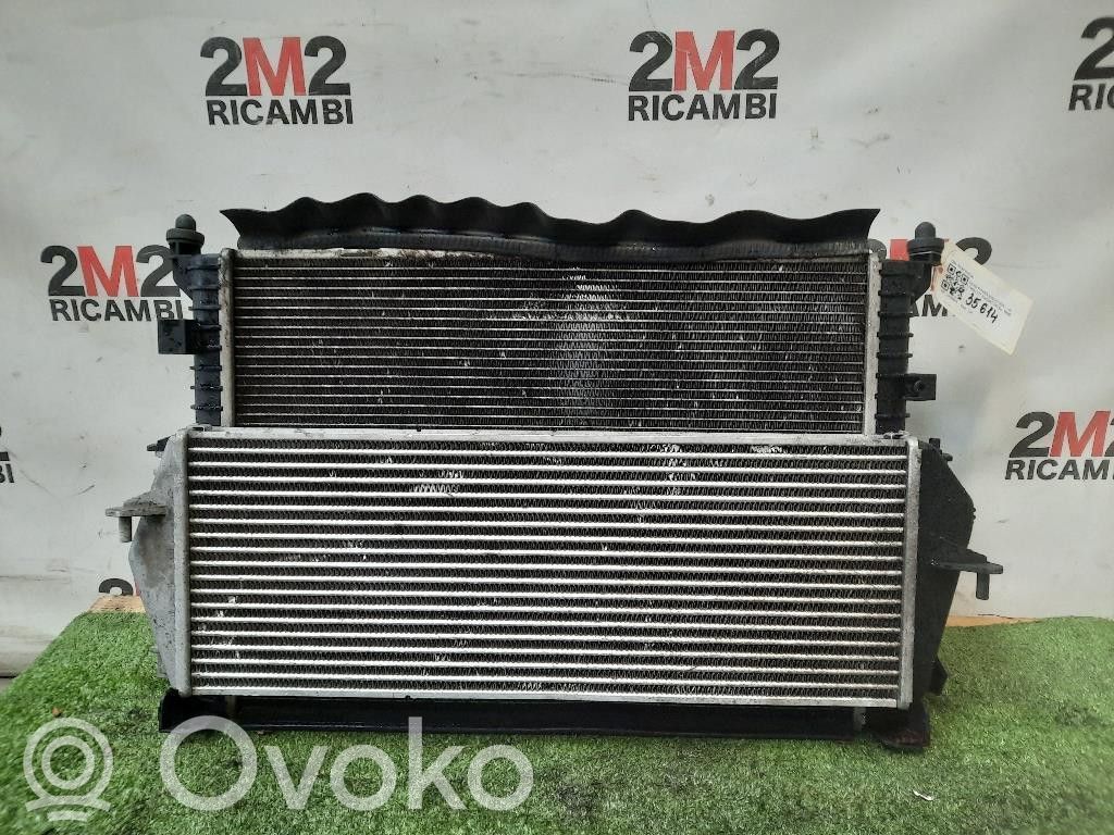 Land Rover Defender Radiatorių komplektas 