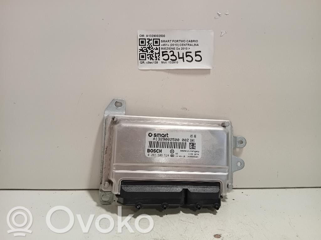 Smart ForTwo II Injection control unit/module 
