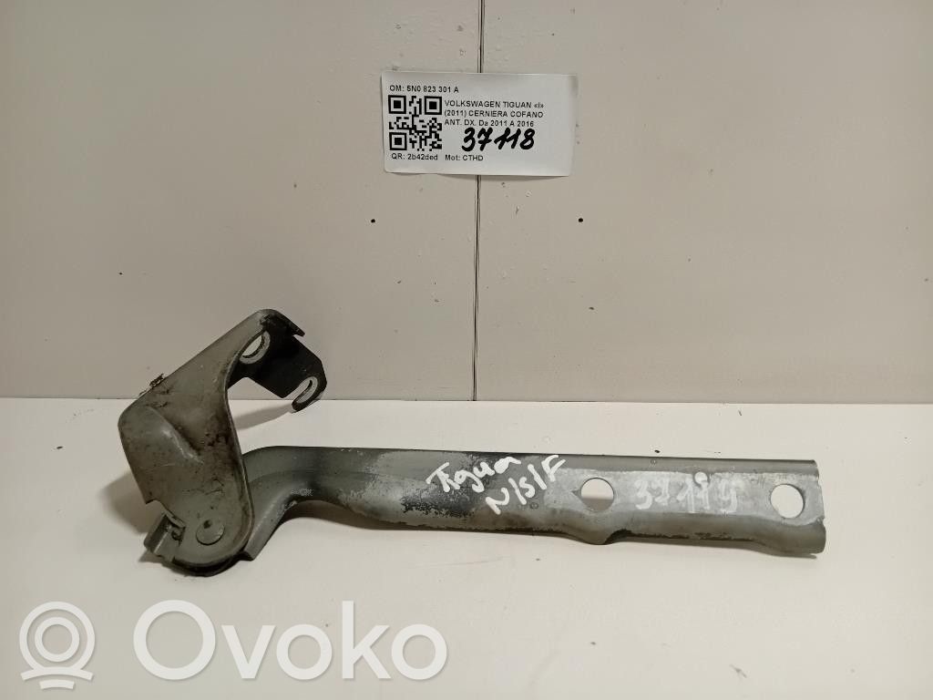 Volkswagen Tiguan Bisagras del capó/tapa del motor 