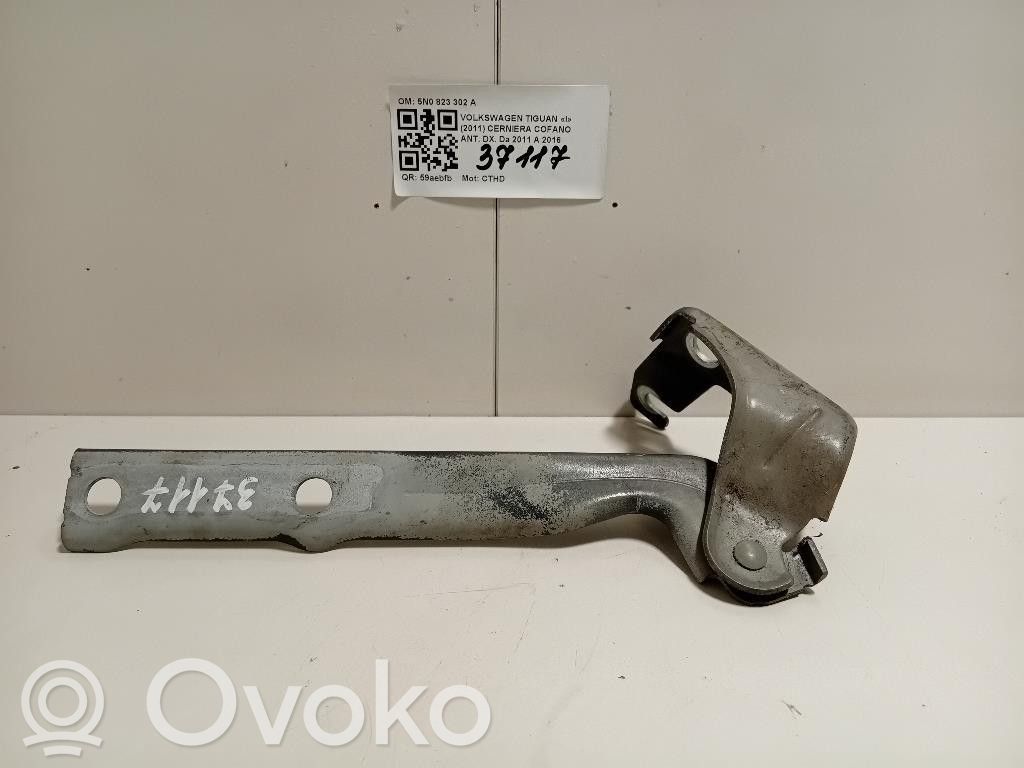 Volkswagen Tiguan Bisagras del capó/tapa del motor 