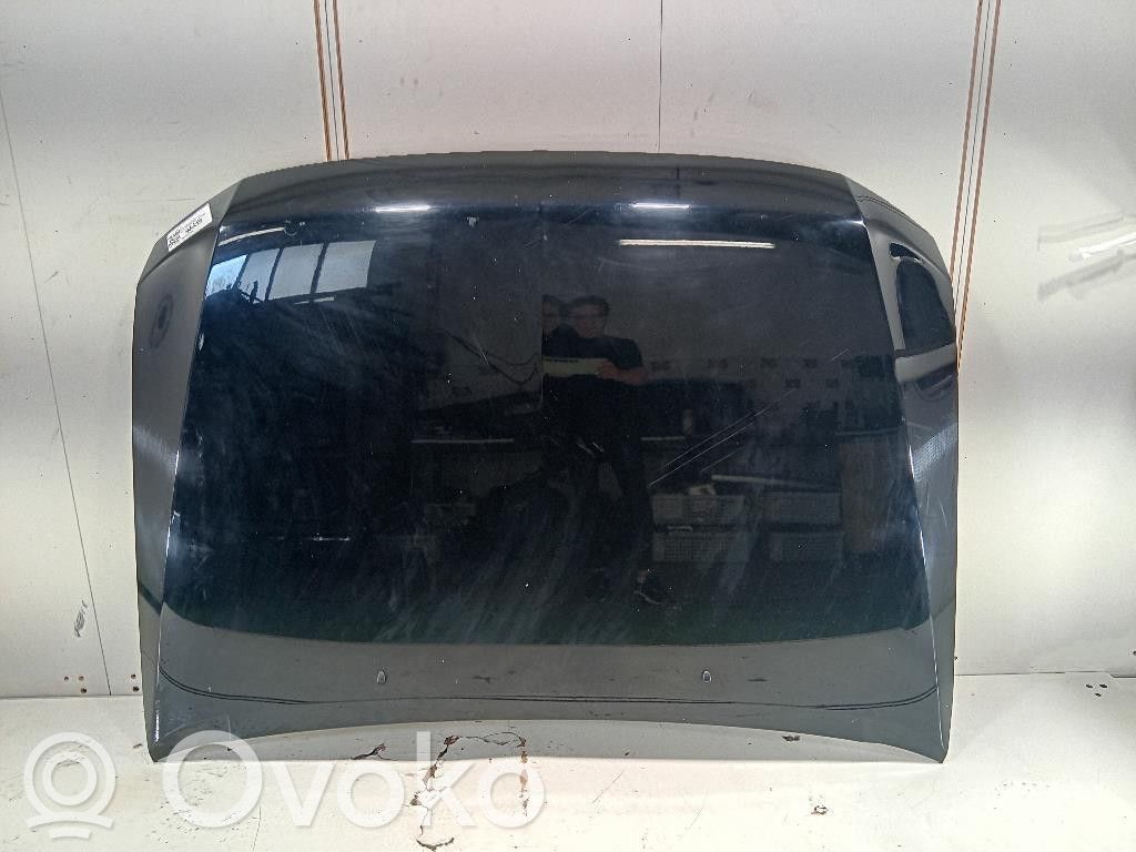 Mitsubishi Pajero Motorhaube 