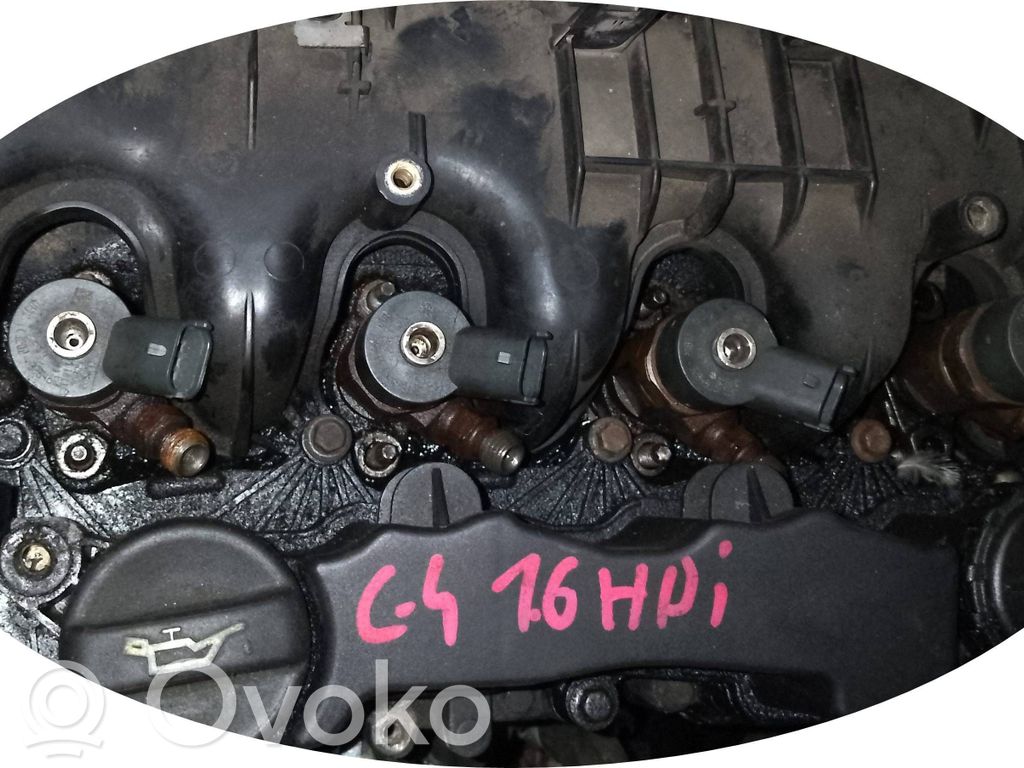Variklis   10JB60