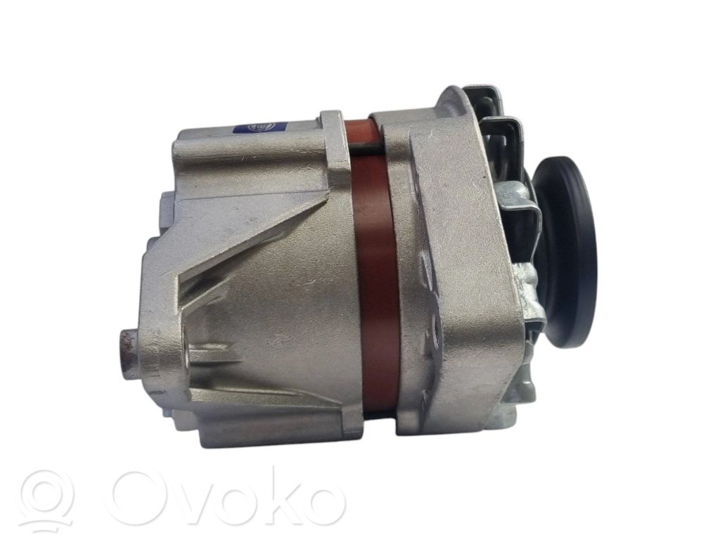 Alternator   77250410,4224325,0986030121,0120339515,0120339516,0120339527,0120339528,4224325,4257074,4275283,432991,436109,4474752,46231680,46621735,4998353,63300900,63300901,63300920,63300921,63321032,63362006,7552382,77145410,77250410,8EL725794001,8EL725944001,943300920,CA45,DRA0120,LRA00199,LRA00913,LRA199,LRA913,NA284