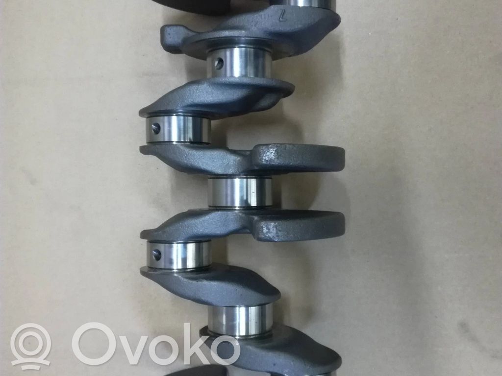 Kampiakseli   53466005,11217534659,0501L4