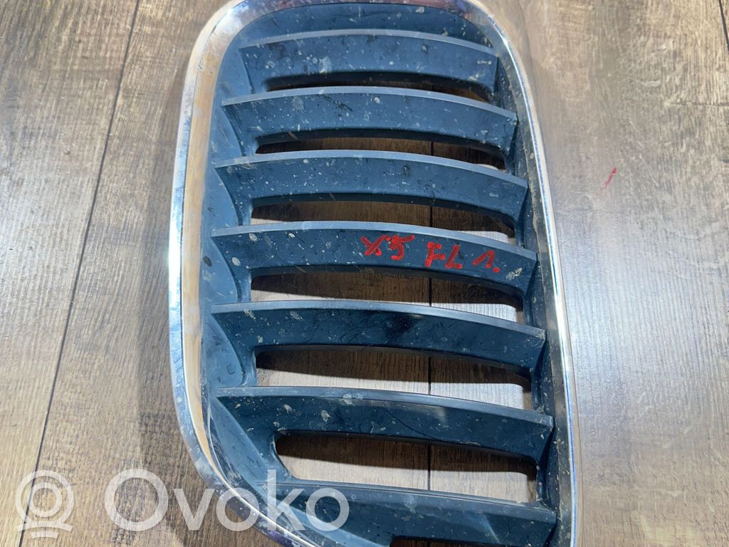BMW X5 E53 Front bumper upper radiator grill 