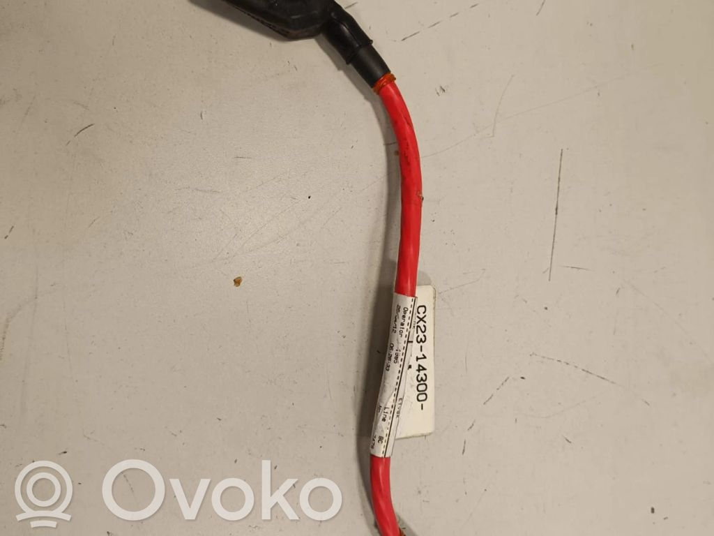 Jaguar XF X250 Cable positivo (batería) 