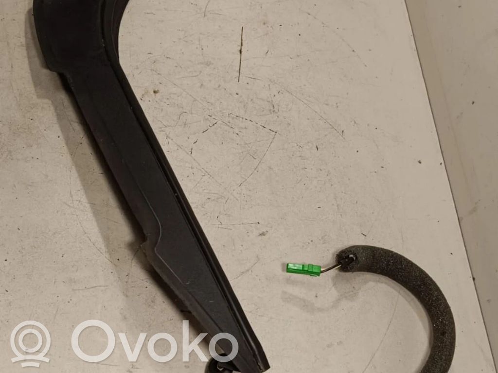 Tailgate trim   N2M5A