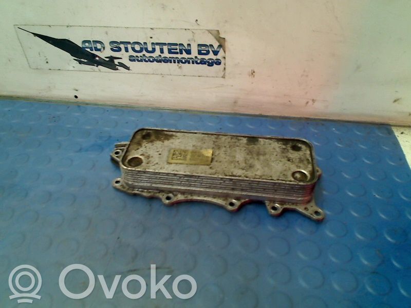 Mercedes-Benz Sprinter W906 Radiator ulei motor 