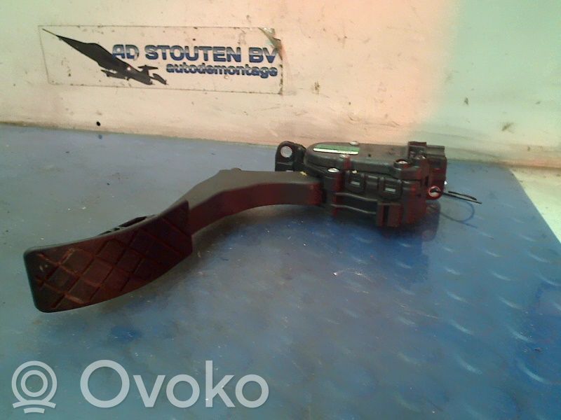 Skoda Roomster (5J) Pedale dell’acceleratore