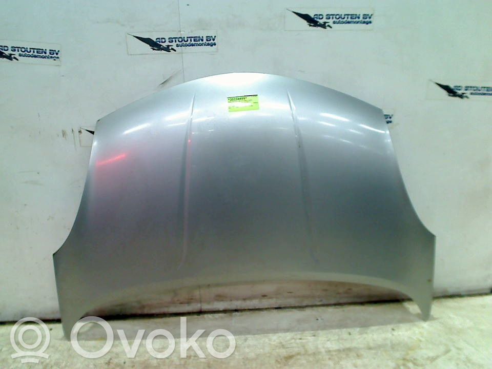 Motorhaube