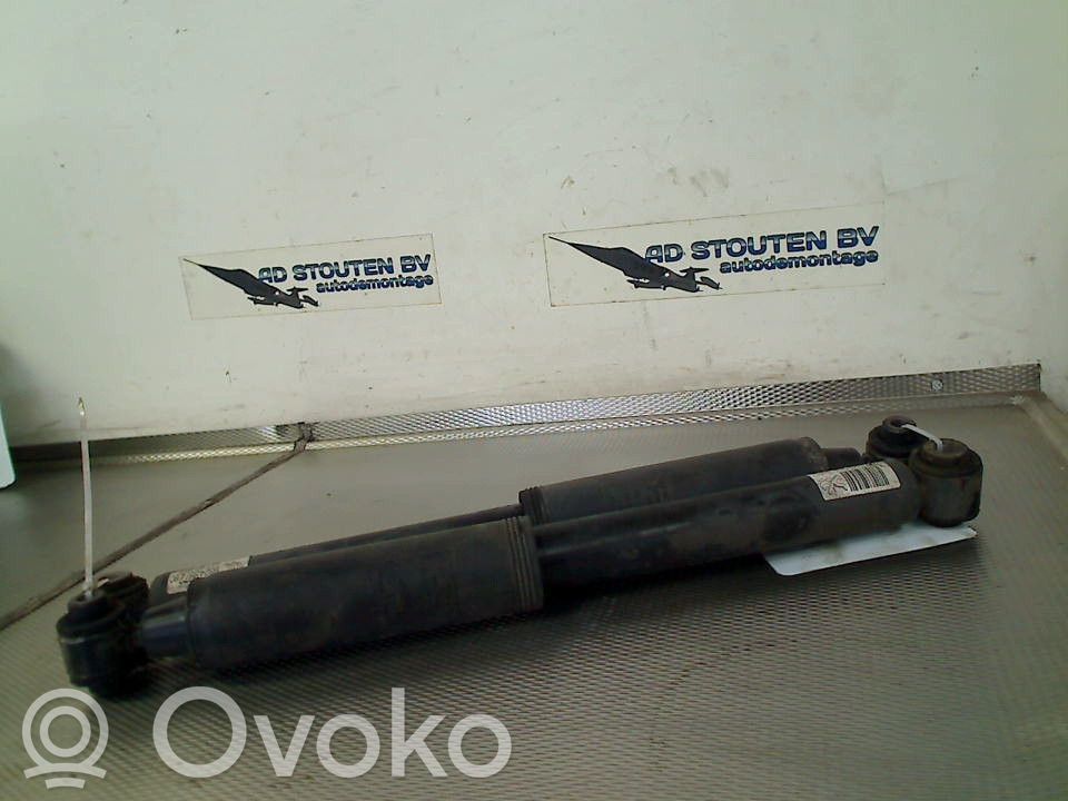 Citroen C3 Stoßdämpfer hinten 
