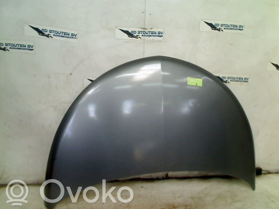 Engine bonnet/hood