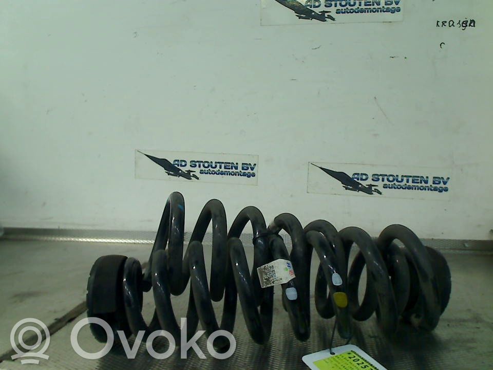Rear coil spring