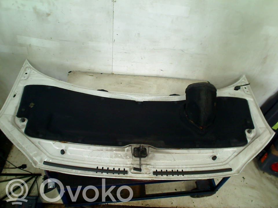 Motorhaube