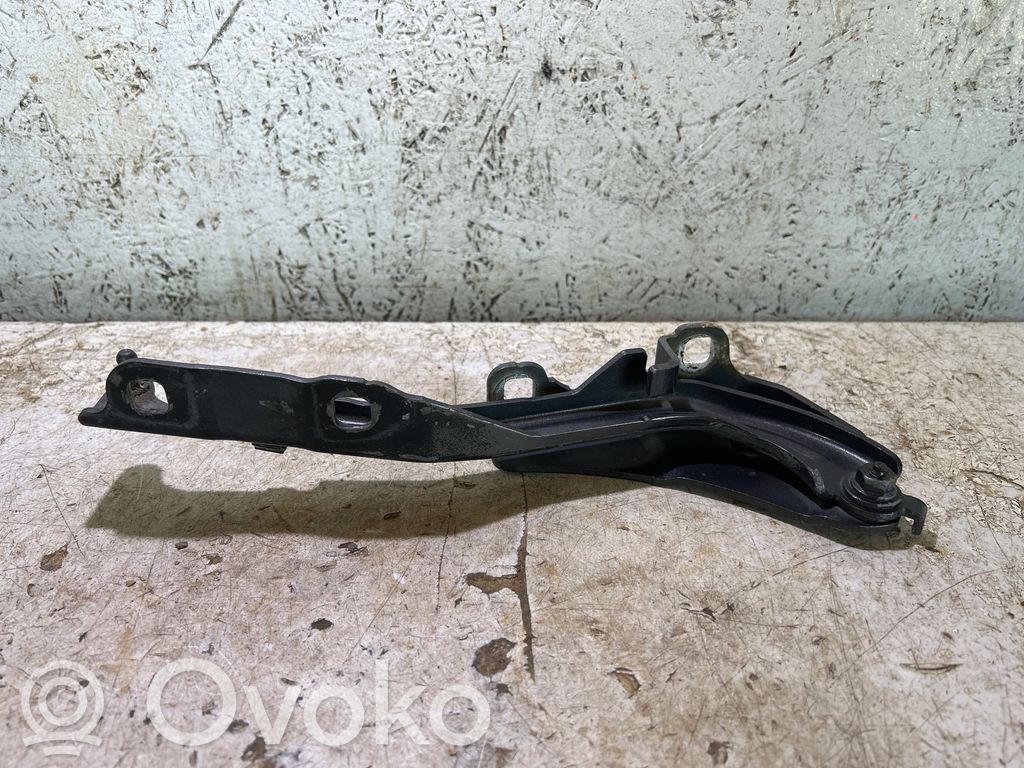 Chrysler 200 Engine bonnet/hood hinges 