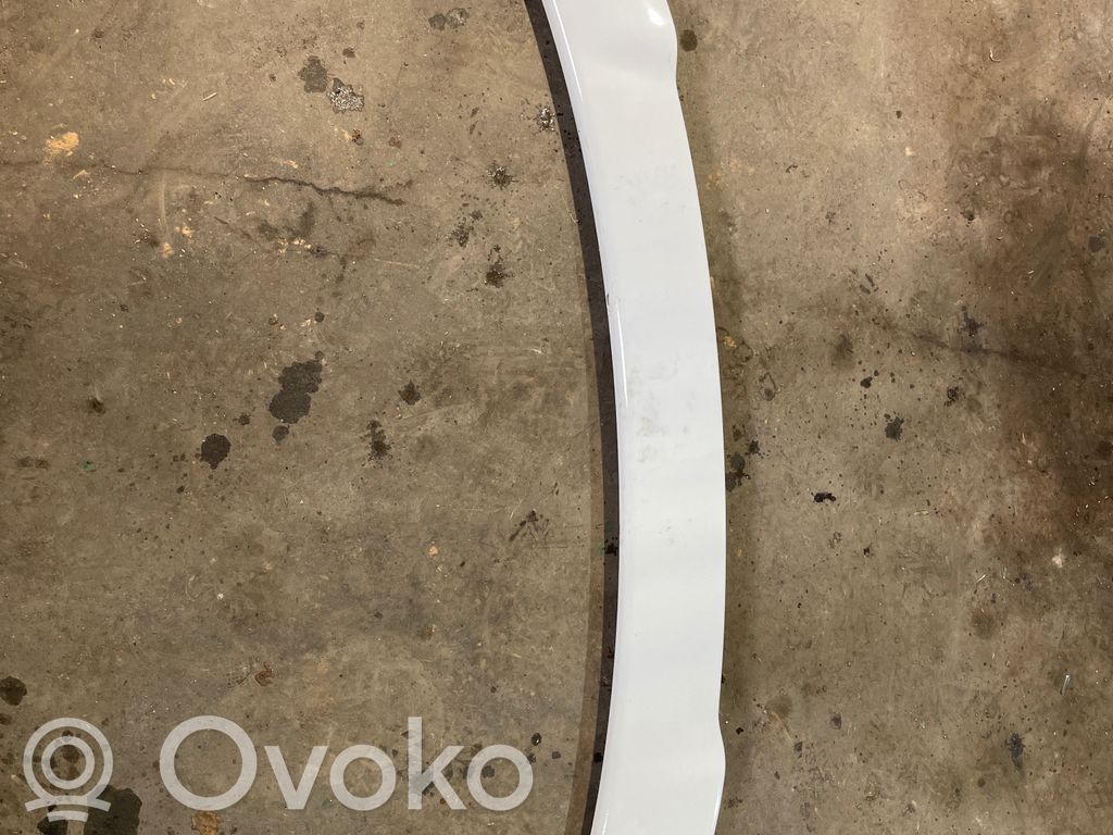 Tailgate/trunk spoiler   62381A
