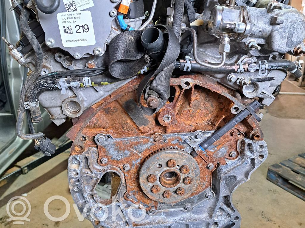 Ford Edge II Motor 
