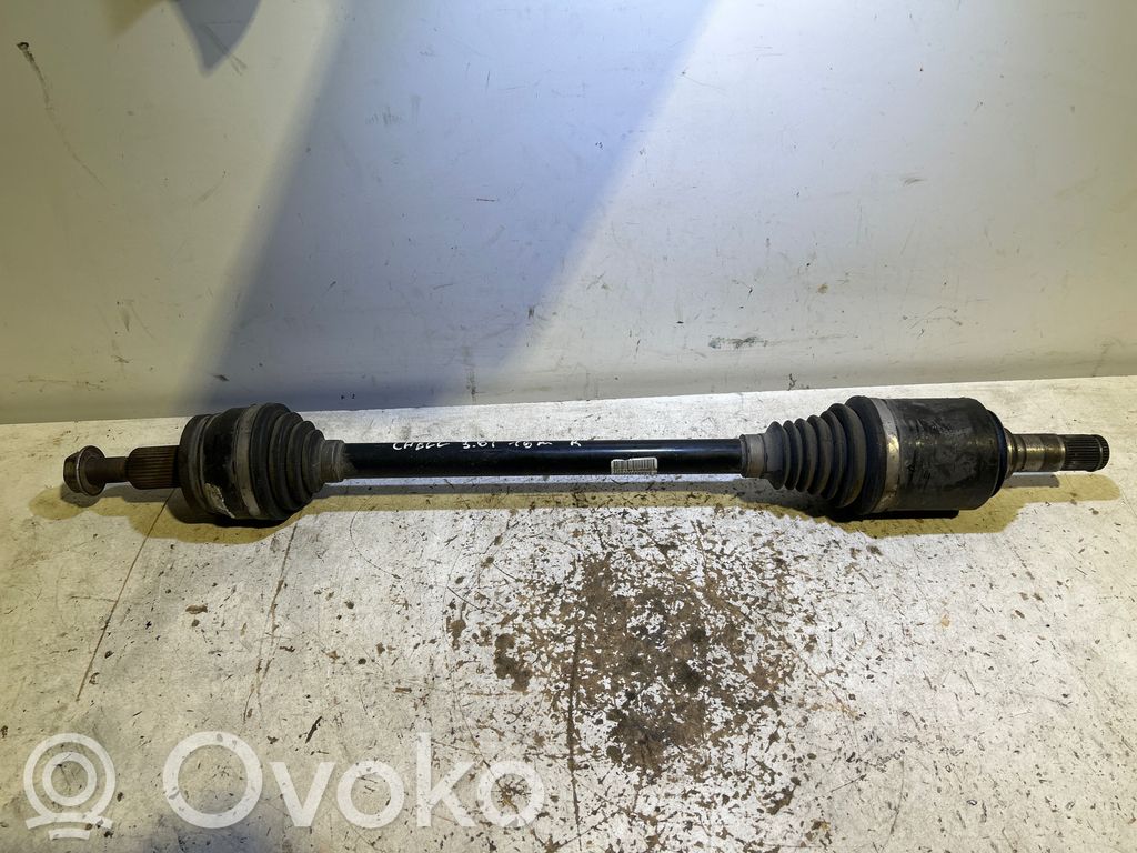 Dodge Challenger Planetară spate 