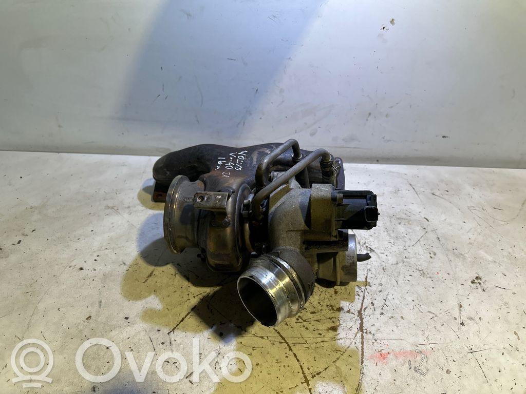Turbo   31441692,44169252550,16399700013,900504490754