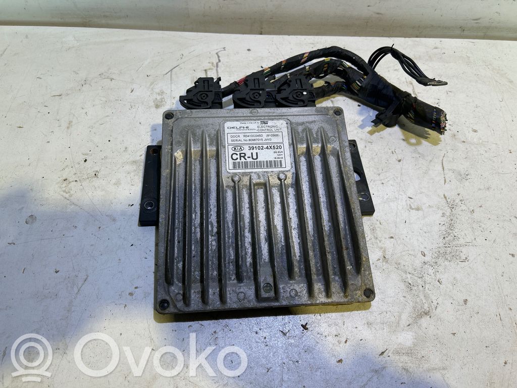 KIA Carnival Engine control unit/module 