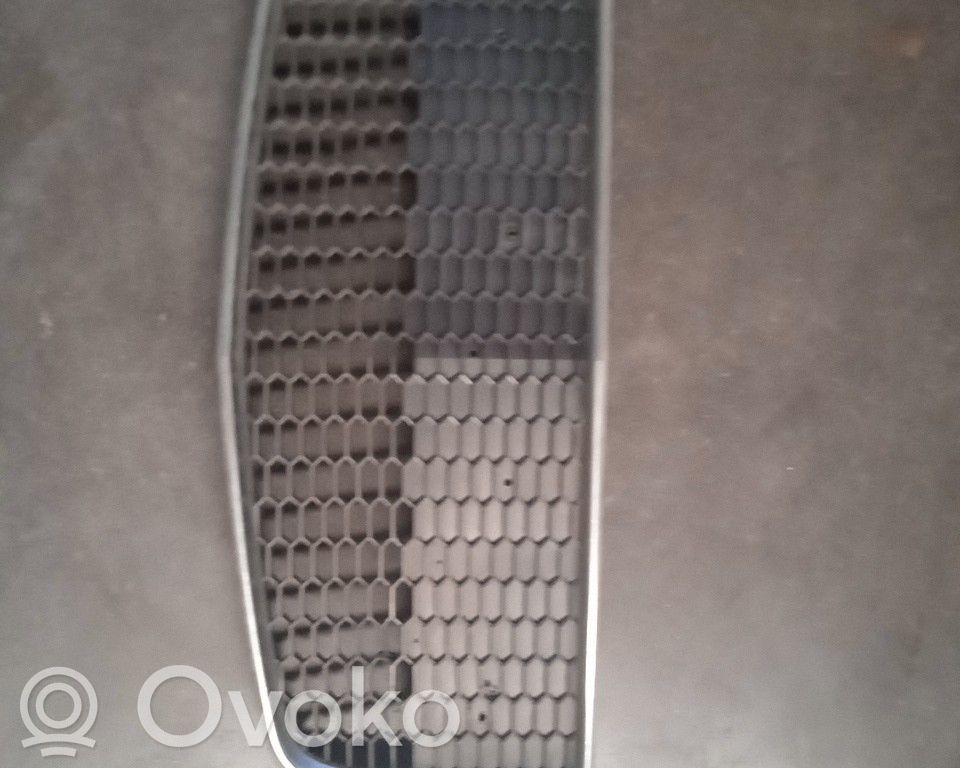 Front grill
