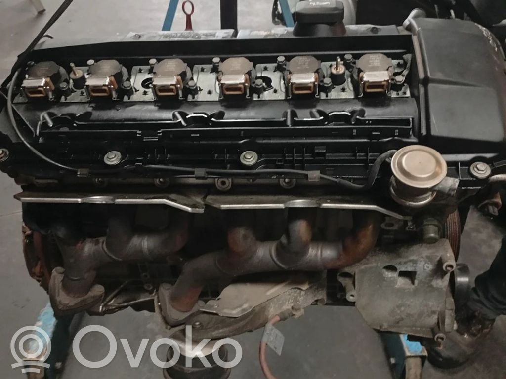 Variklis   2565