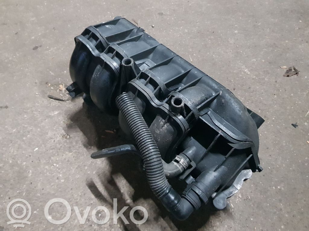 Intake manifold   036971824A