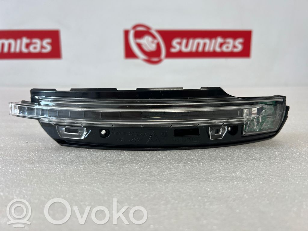 Spiegelblinker   95B949101F,T95B047,20826069