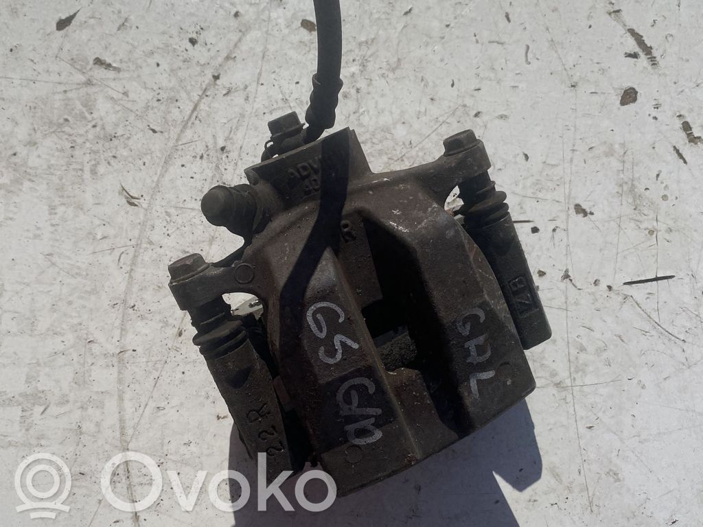 Rear brake caliper   4022