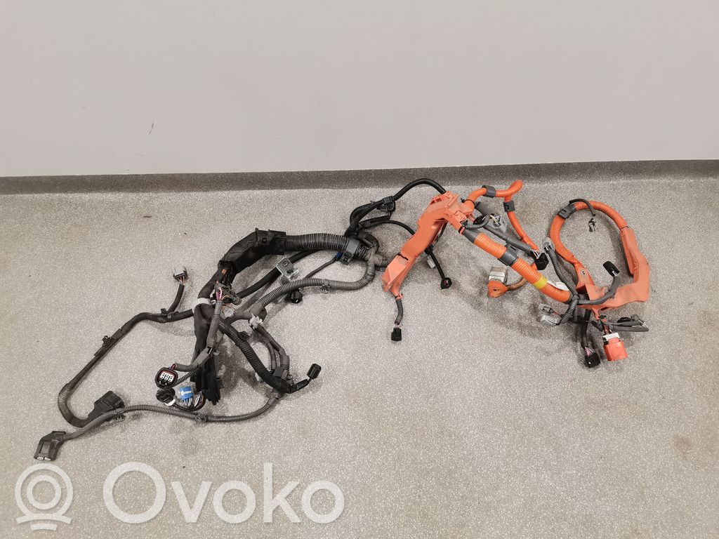 Lexus NX Wiązka przewodów silnika 