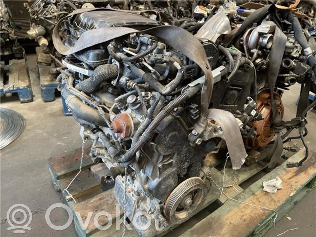Motor   8HR