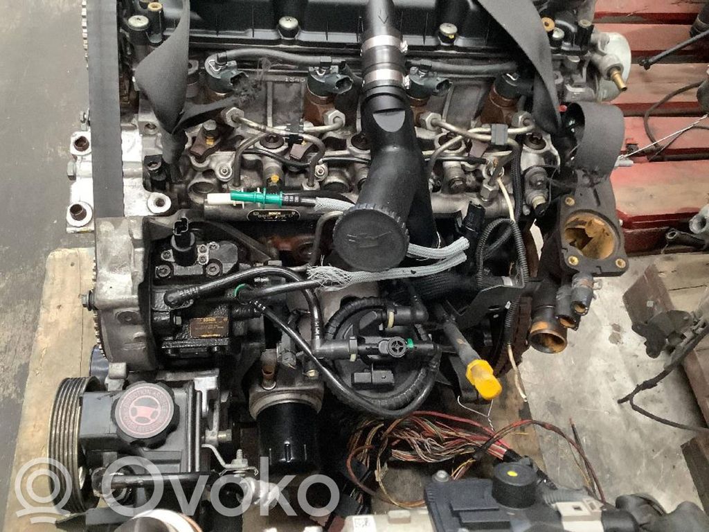 Motor   RHZ