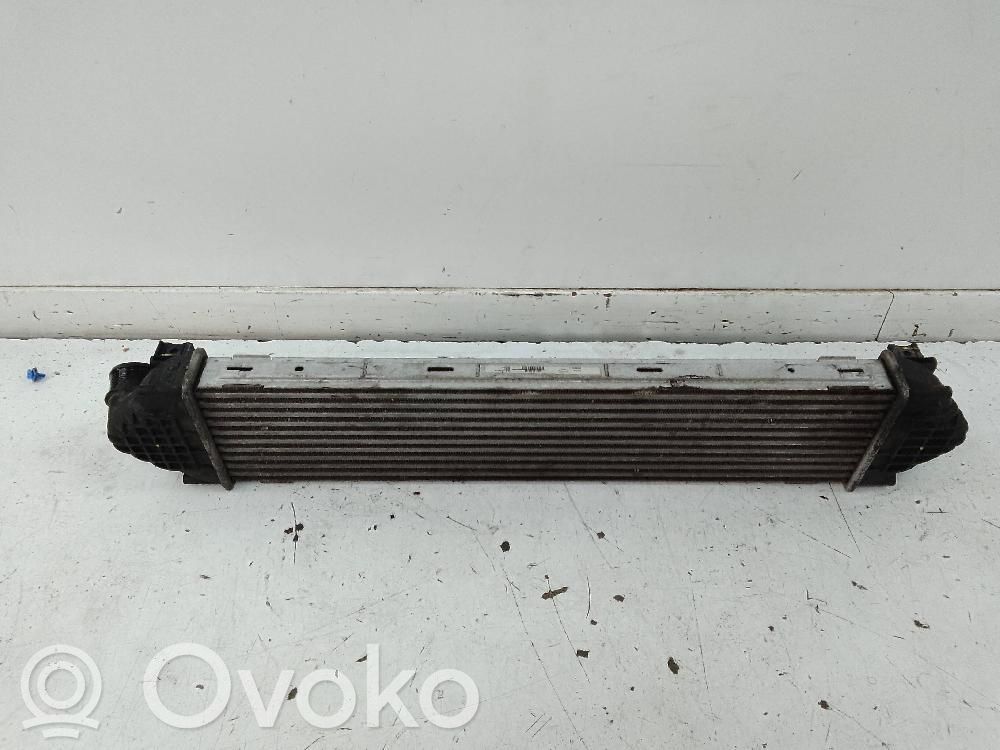 Interkūlerio radiatorius   880624D