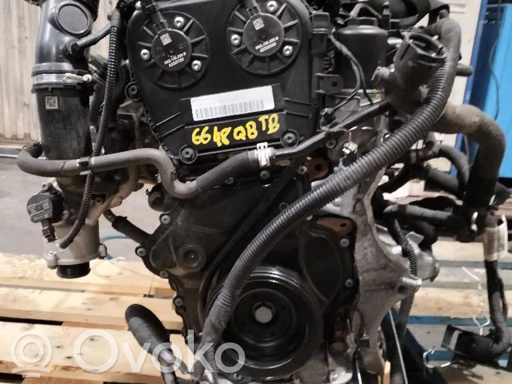 Motor   DMT