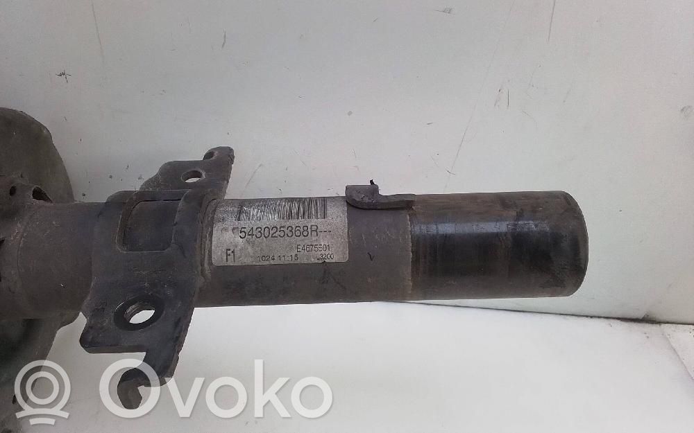 Stoßdämpfer vorne   543025368R