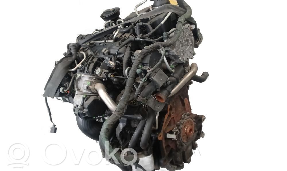 Motor   CBB