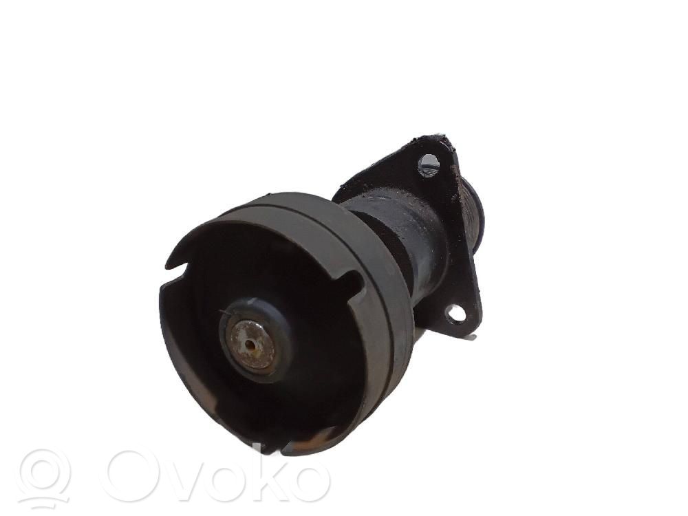 Ford Focus C-MAX Napinacz paska alternatora 