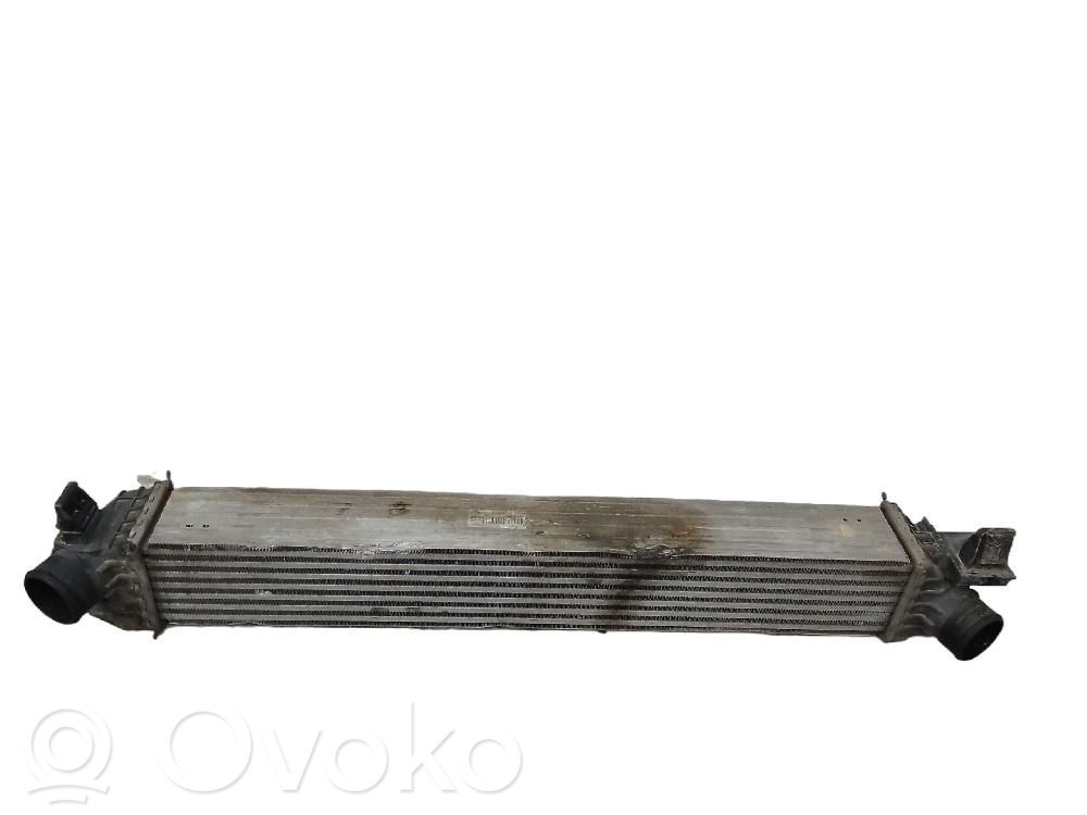 Radiatore intercooler   5314431