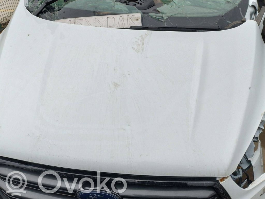Ford Kuga II Couvercle, capot moteur