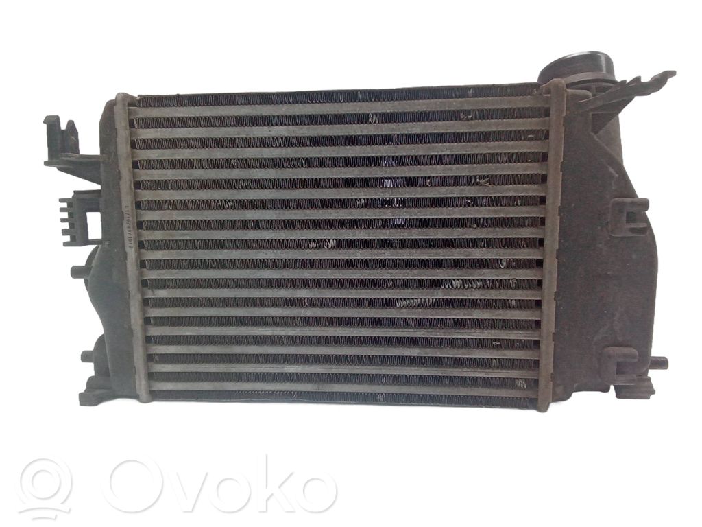 Nissan Qashqai Radiador del refrigerante