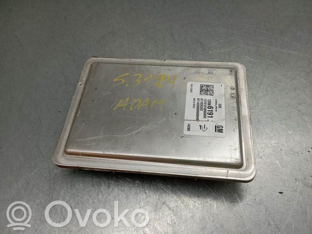 Engine control unit/module   12666191,1310101000000X,811839393