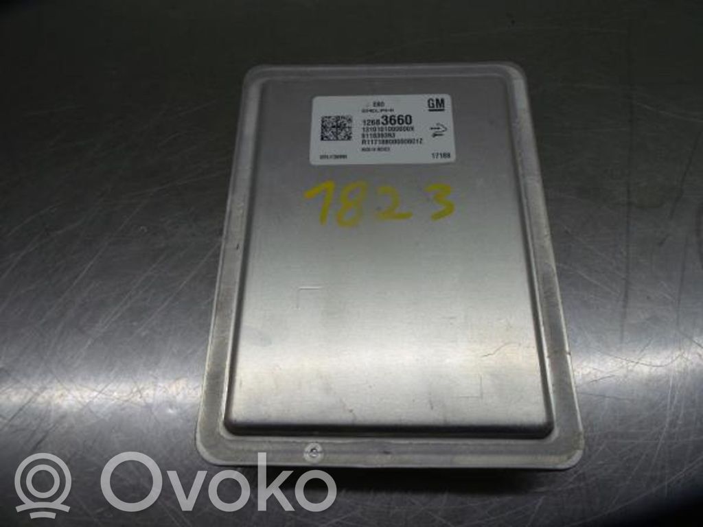 Unidad de control/módulo del motor   12683660,12669908,1310101000000X,811839393,R11718800000001Z