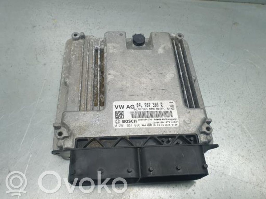 Moottorin ohjainlaite/moduuli   04L907309R,0281031066