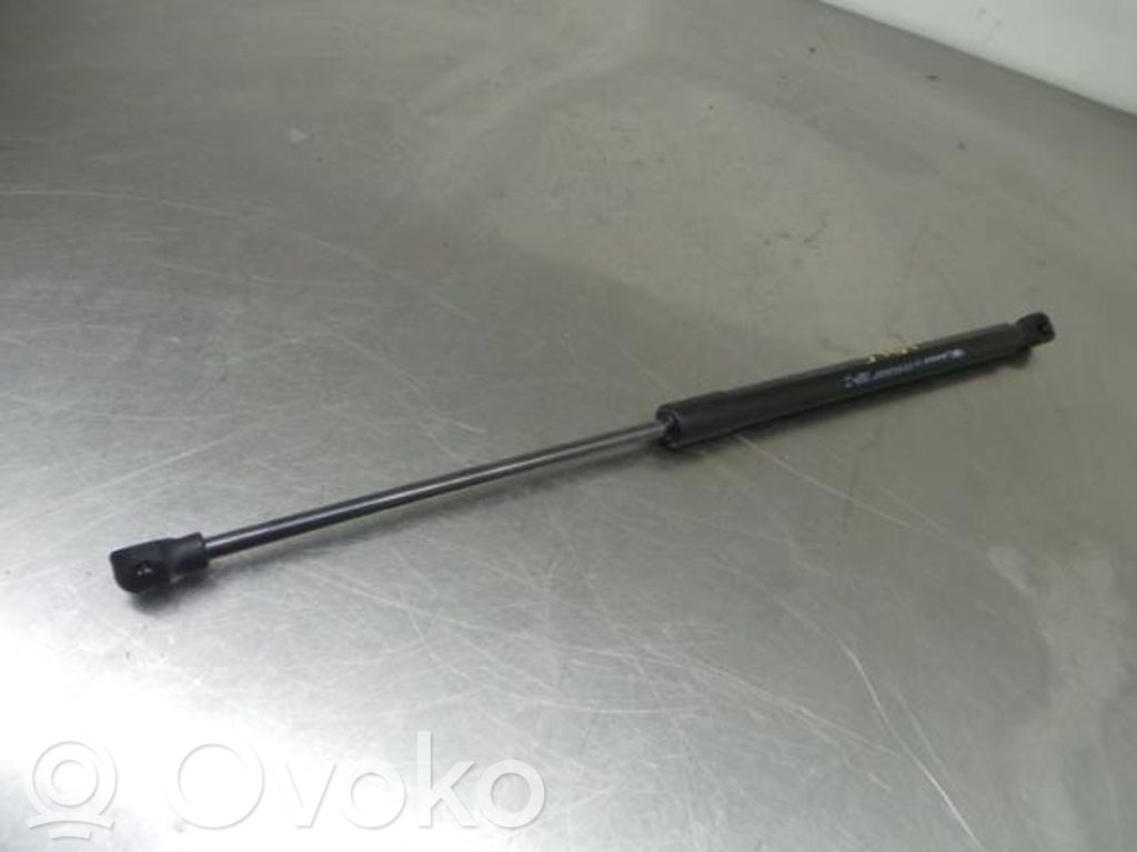 Tailgate/trunk strut/damper   904507649R