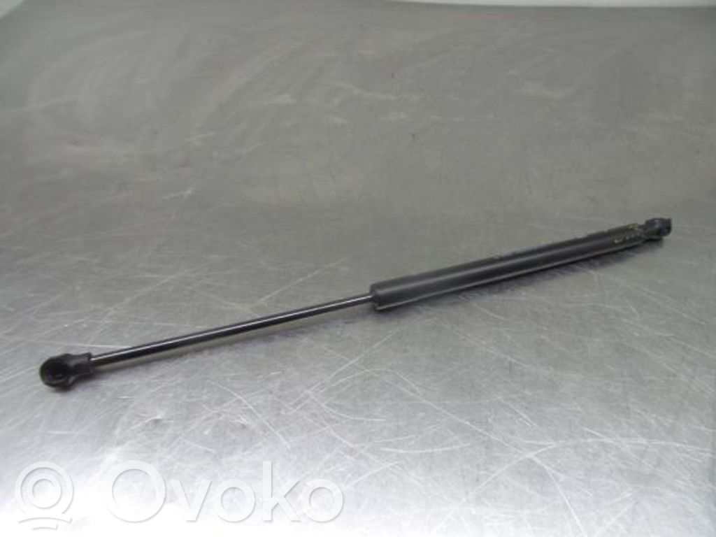 Tailgate/trunk strut/damper   904507649R