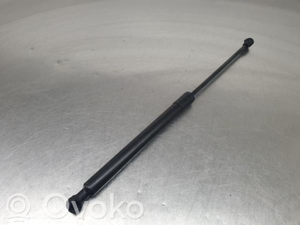 Tailgate/trunk strut/damper   844301324R