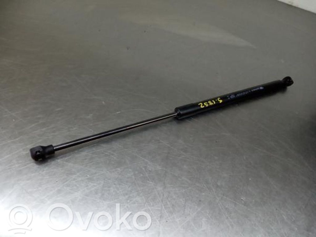 Tailgate/trunk strut/damper   904507649R