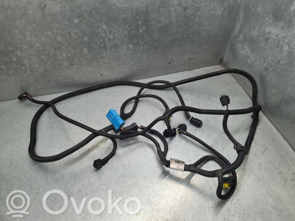 Citroen DS5 Otros cableados 