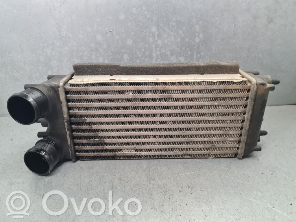Intercooler radiator   AV219L440AB,IA2023,M149811D