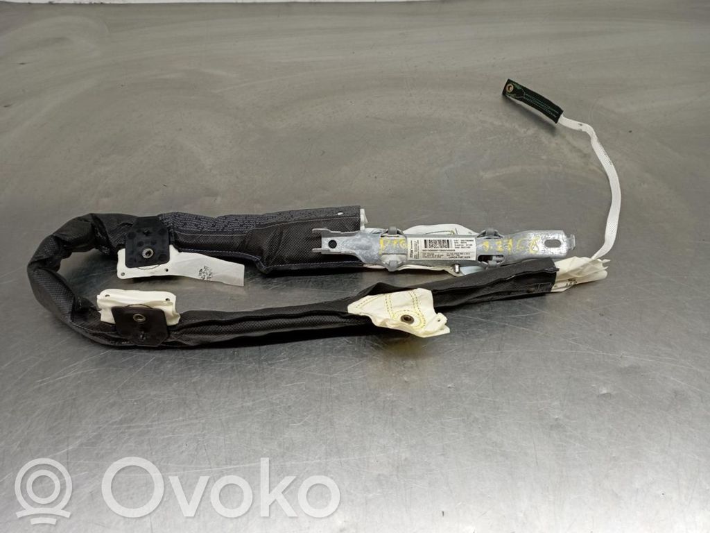 Airbag del techo   34024861A,00517829800,102579971,517829800